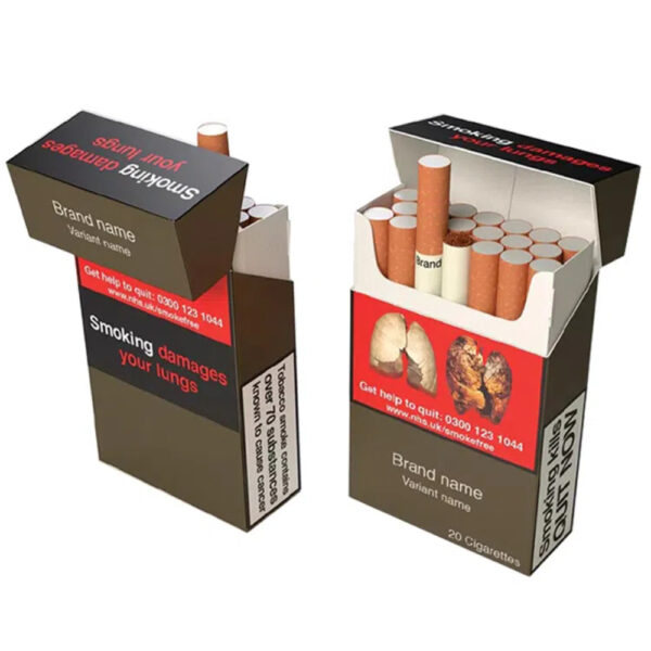 Plain Cigarette Box with Graphic Health Warnings-3